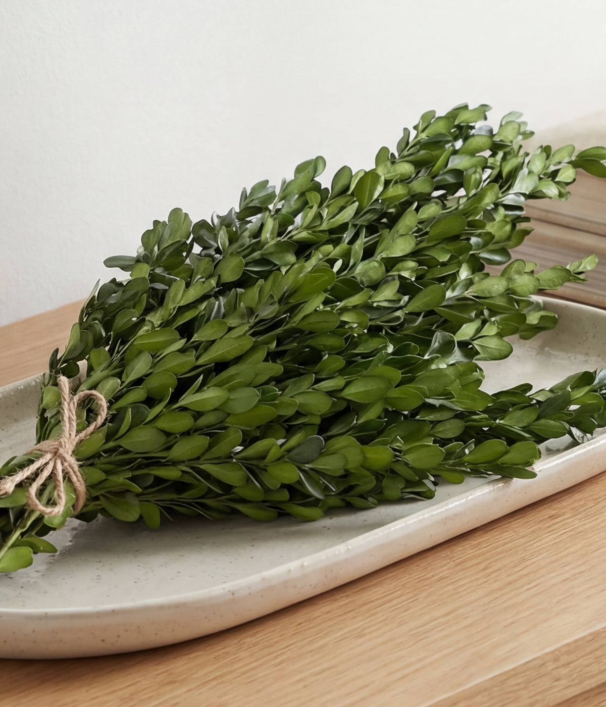 Preserved Boxwood Stems