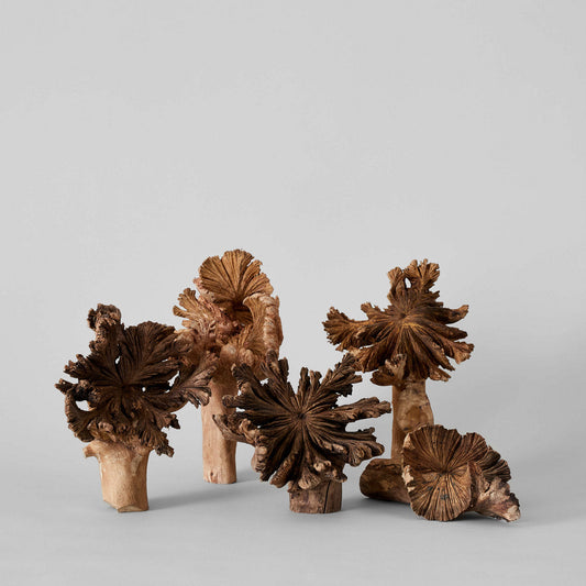 Rare Wood Flower
