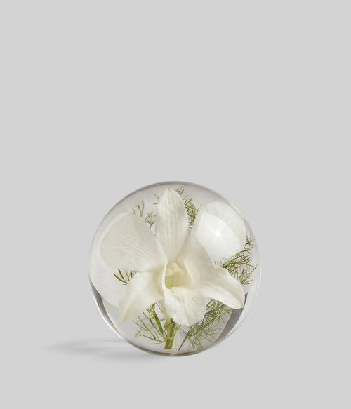 White Orchid Botanical Resin Paperweight