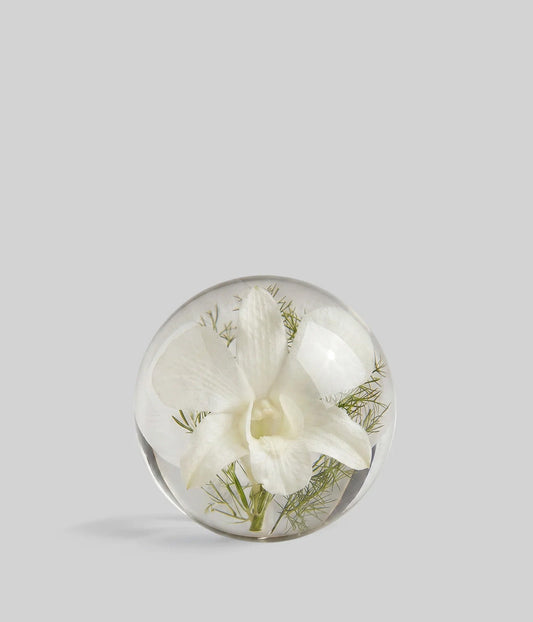 White Orchid Botanical Resin Paperweight