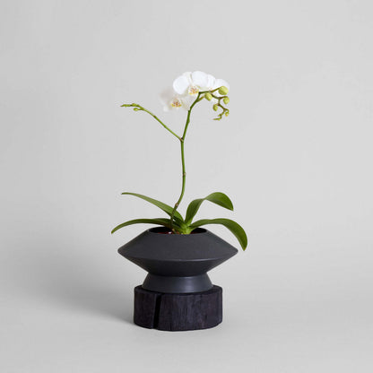 Round Pedestal Wood Base