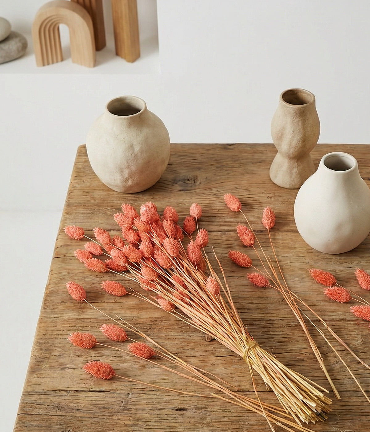 Dried Pink Phalaris