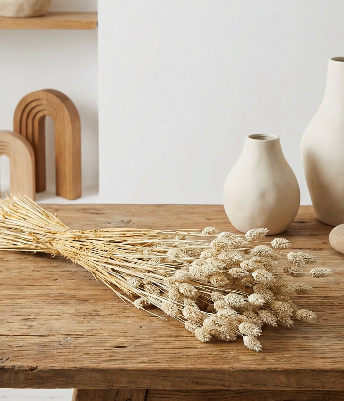 Dried Whitewashed Phalaris