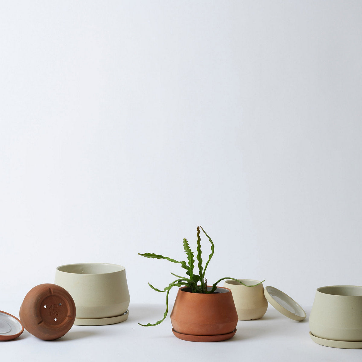 Rancho Planter, Sand