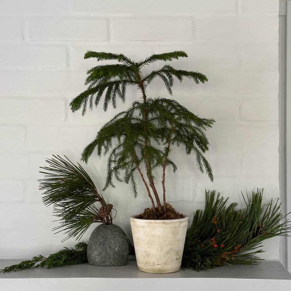 Beach Stone Vase