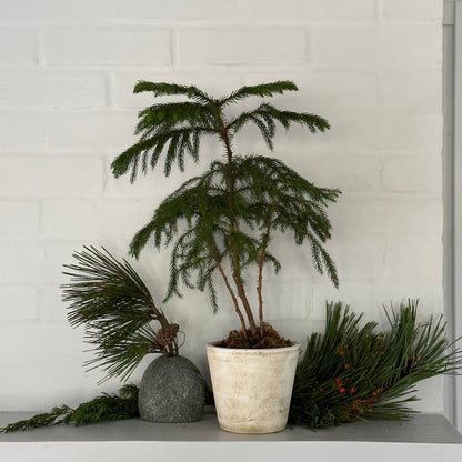 Beach Stone Vase