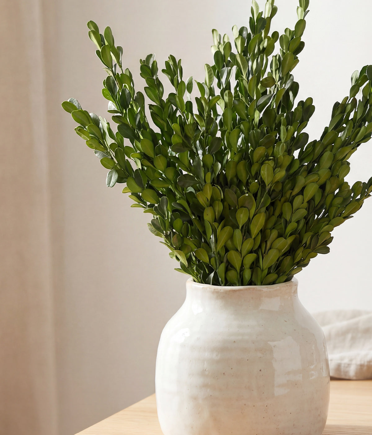 Preserved Boxwood Stems